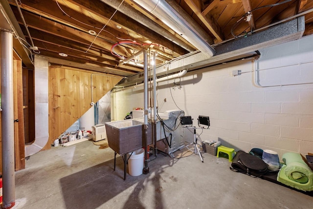 unfinished basement featuring concrete block wall