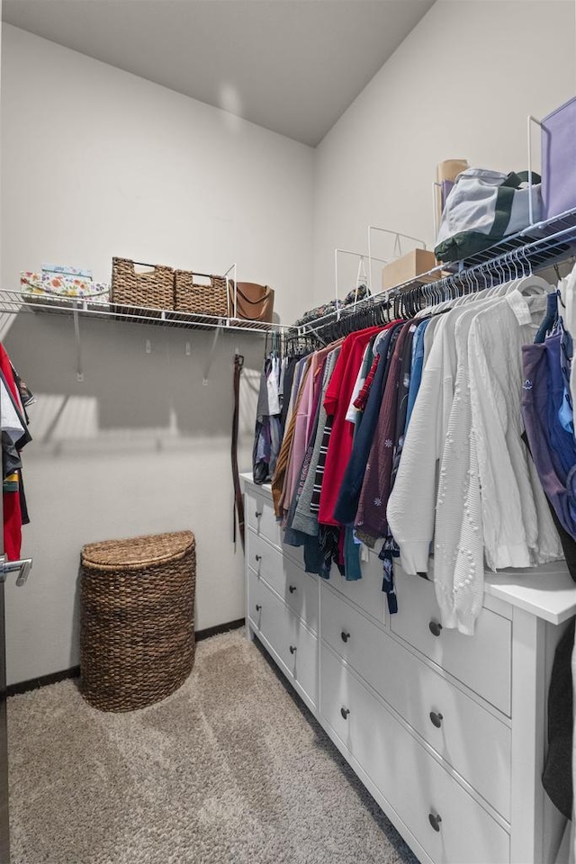 walk in closet featuring carpet flooring