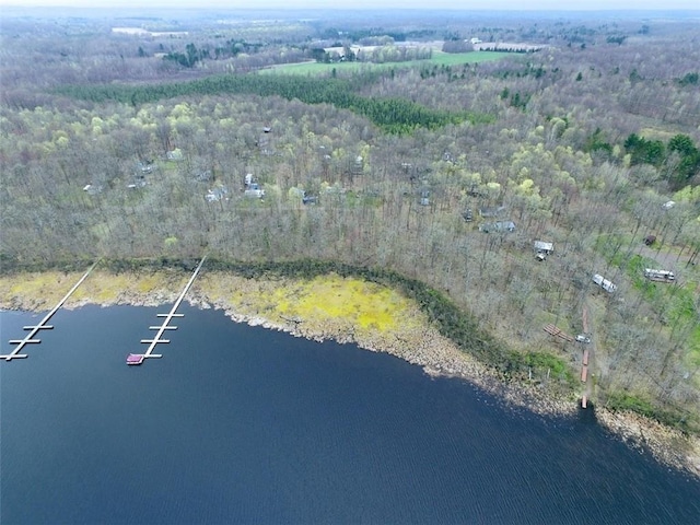 drone / aerial view featuring a water view and a view of trees