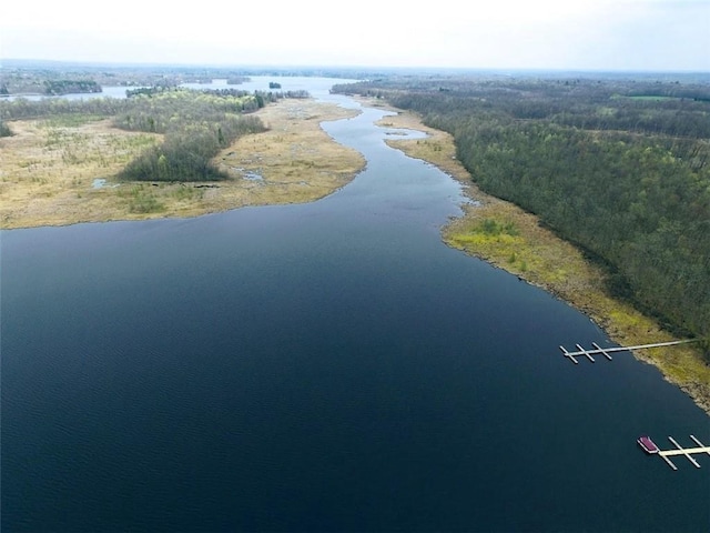 drone / aerial view with a water view and a forest view