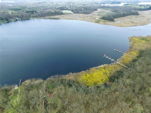 bird's eye view with a water view and a view of trees