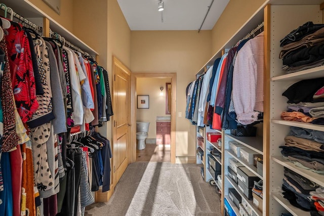 spacious closet with carpet flooring