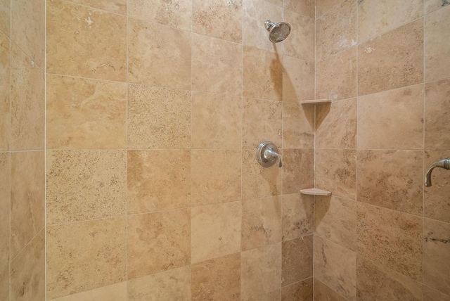 interior details with tiled shower