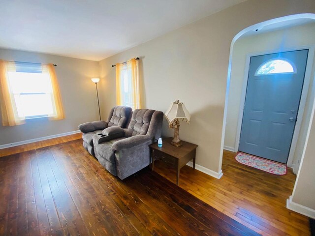 entryway featuring wood-type flooring, arched walkways, baseboards, and a healthy amount of sunlight