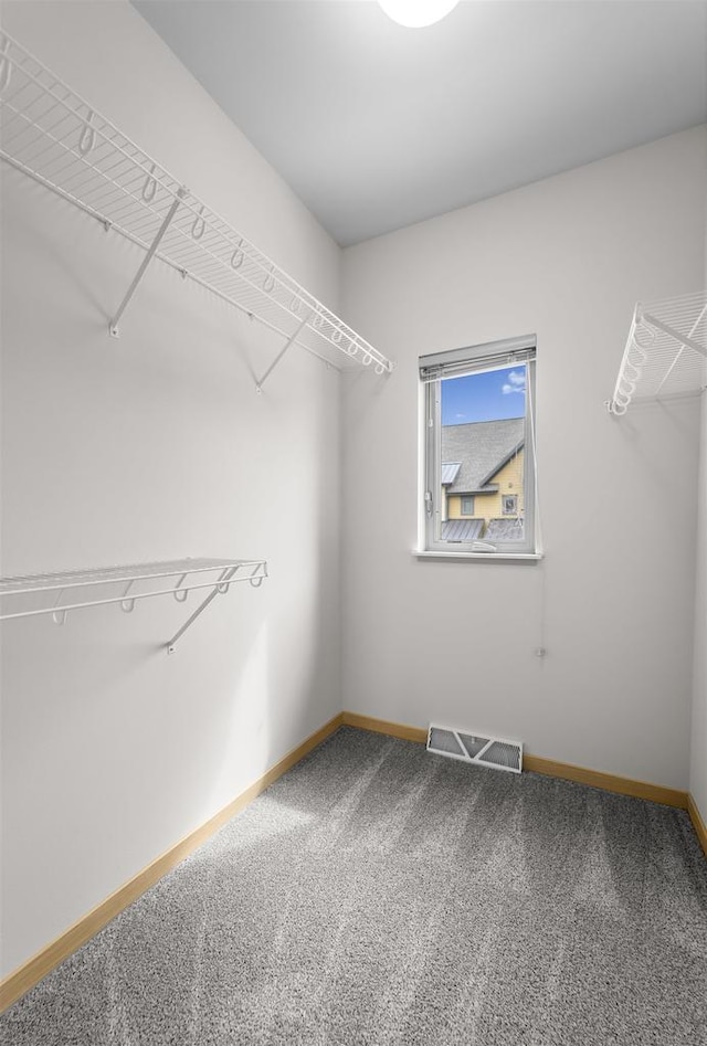 walk in closet with carpet and visible vents