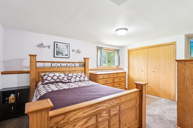N6376 Hillcrest Rd, Pardeeville, WI 53954 - bedroom with carpet flooring and a closet