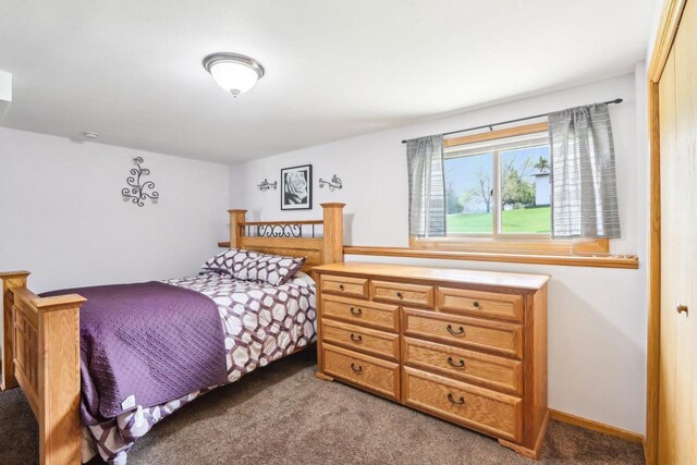 N6376 Hillcrest Rd, Pardeeville, WI 53954 - view of carpeted bedroom