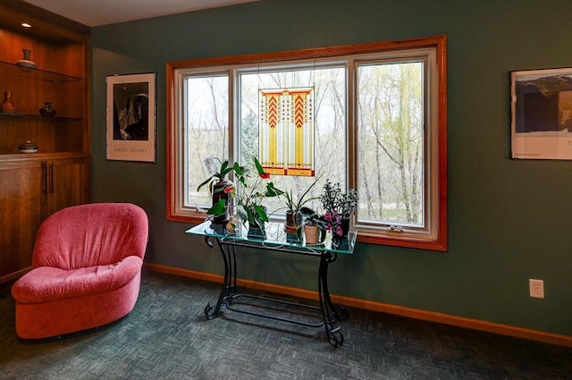 6610 Whittlesey Rd, Middleton, WI 53562 - sitting room with plenty of natural light, carpet floors, and baseboards
