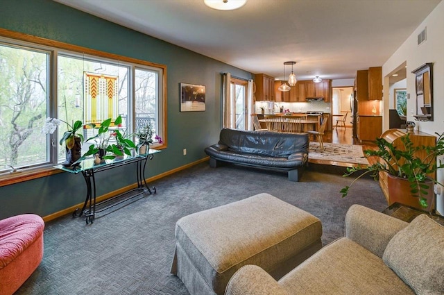 6610 Whittlesey Rd, Middleton, WI 53562 - living area with plenty of natural light, carpet, and baseboards
