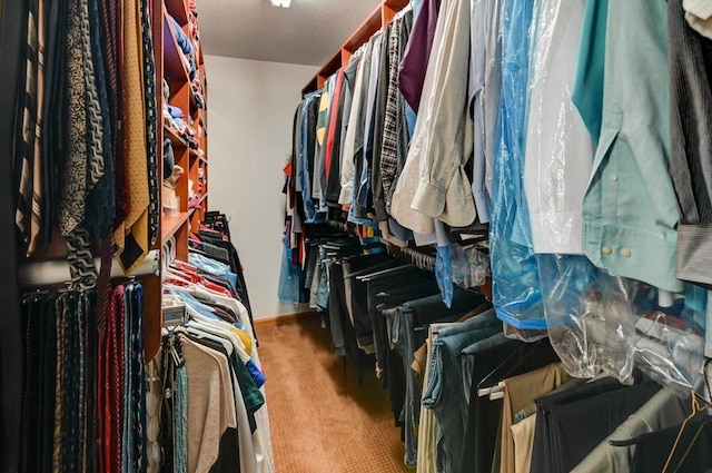6610 Whittlesey Rd, Middleton, WI 53562 - spacious closet featuring carpet