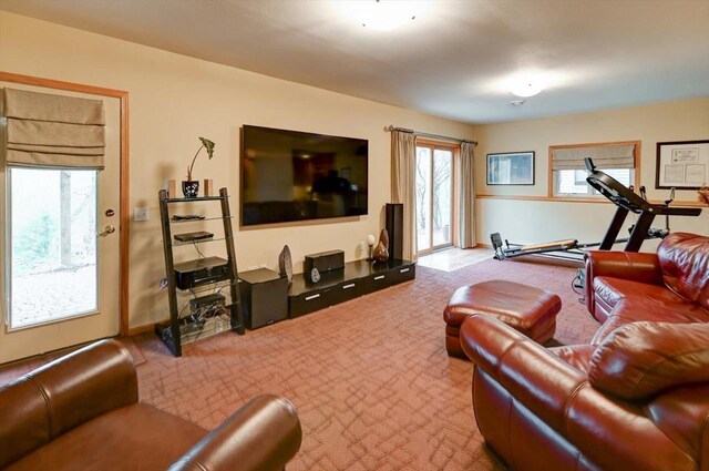 6610 Whittlesey Rd, Middleton, WI 53562 - living room with carpet flooring
