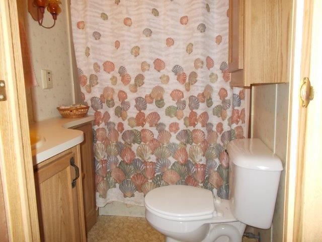 bathroom featuring vanity, toilet, and a shower with curtain