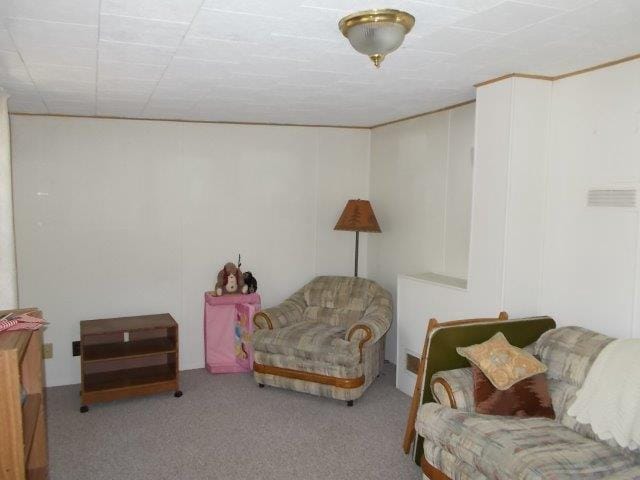 sitting room featuring carpet flooring