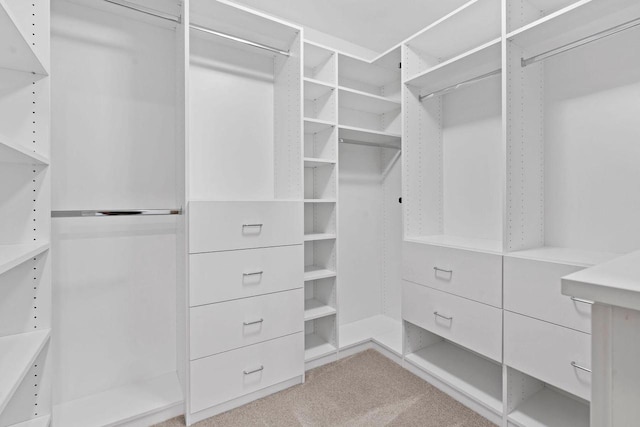 7605 W Windrush Ln, Franklin, WI 53132 - walk in closet with light carpet