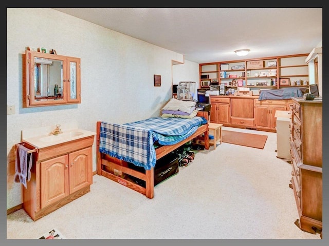 5401 Comanche Way, Madison, WI 53704 - bedroom with a sink and light carpet