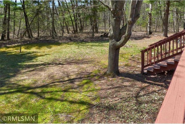 890 Lincoln Ave, Amery, WI 54001 - view of yard