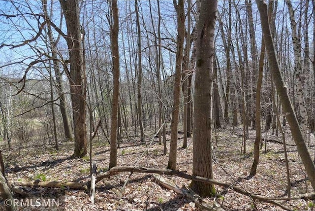 890 Lincoln Ave, Amery, WI 54001 - view of local wilderness with a view of trees