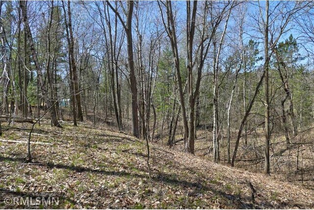 890 Lincoln Ave, Amery, WI 54001 - view of landscape with a view of trees