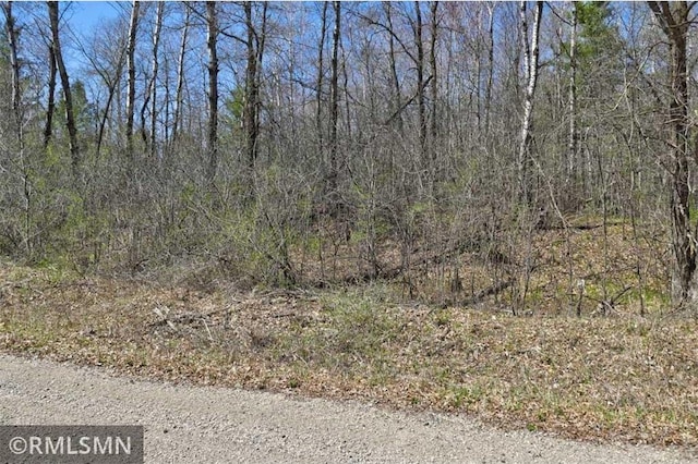 890 Lincoln Ave, Amery, WI 54001 - view of nature