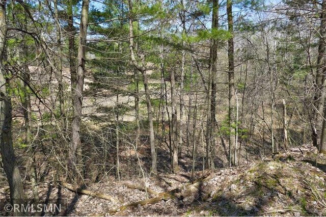 890 Lincoln Ave, Amery, WI 54001 - view of local wilderness with a forest view