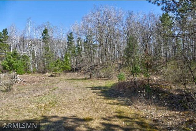 890 Lincoln Ave, Amery, WI 54001 - view of landscape