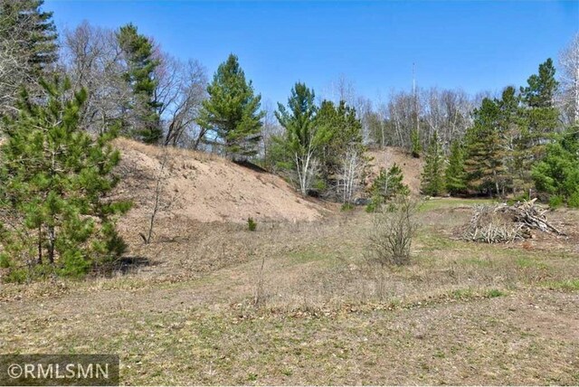 890 Lincoln Ave, Amery, WI 54001 - view of nature