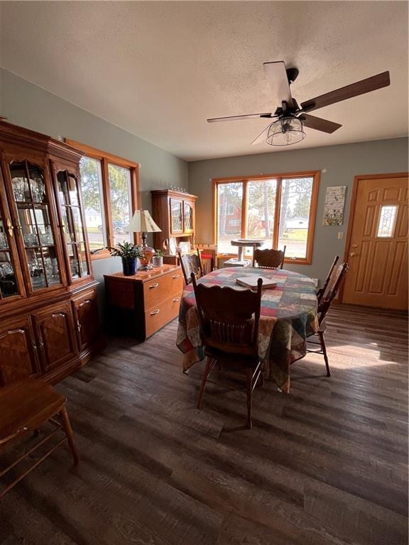 dining space with a ceiling fan, a wealth of natural light, and dark wood finished floors