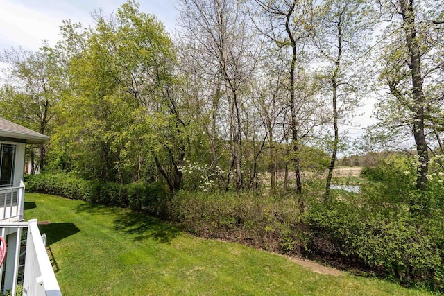 1111 Virgin Lake Dr, Stoughton, WI 53589 - view of green lawn