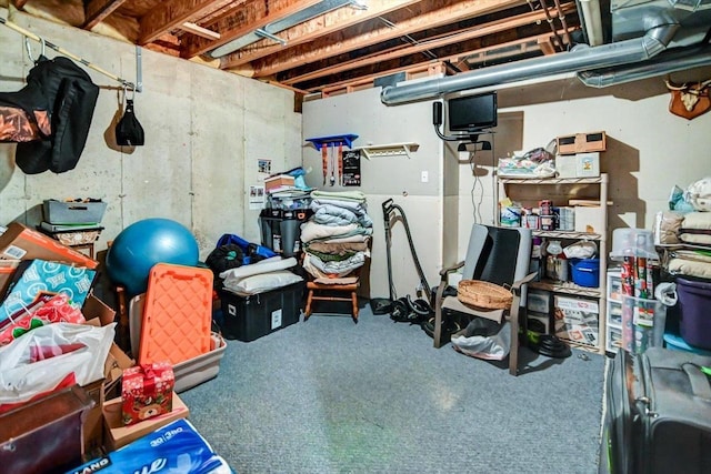 unfinished below grade area featuring carpet