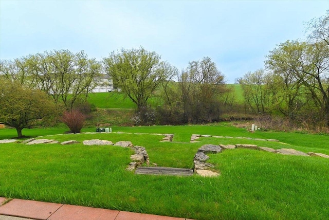 view of community featuring a yard