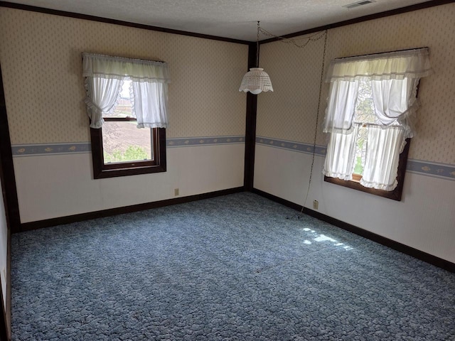 5986 Marsh Rd, Elkhorn, WI 53121 - empty room with ornamental molding, a textured ceiling, a wealth of natural light, and carpet flooring