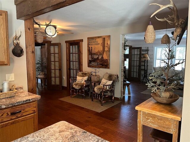 12014 102nd, Chippewa Falls, WI 54729 - living room with a ceiling fan, dark wood-style floors, and french doors