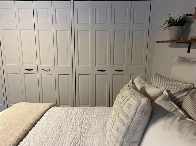 12014 102nd, Chippewa Falls, WI 54729 - bedroom with a closet