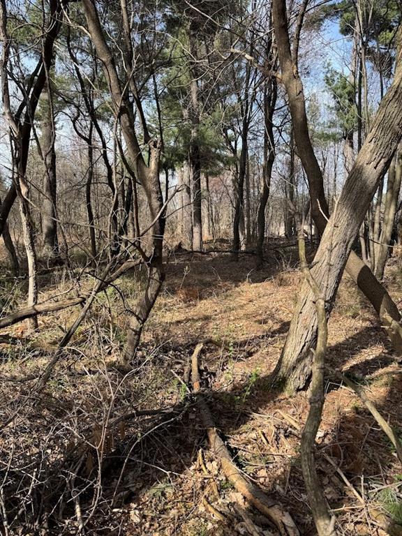 12014 102nd, Chippewa Falls, WI 54729 - view of local wilderness
