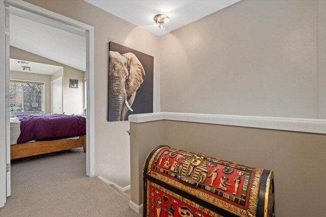 hallway featuring baseboards and carpet flooring