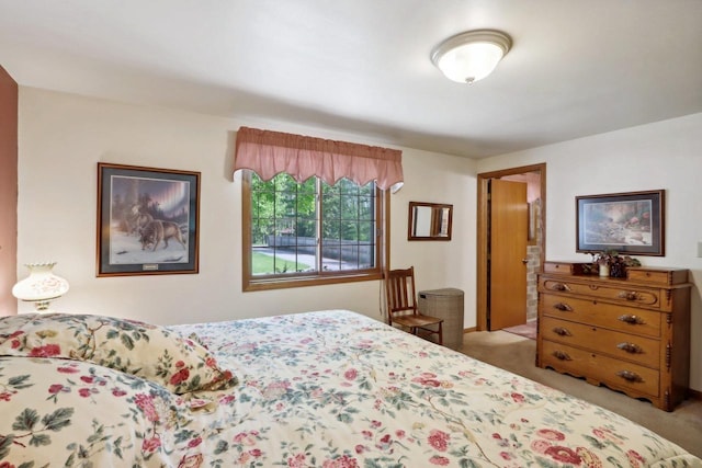 W11027B County Road O, Portage, WI 53901 - bedroom with carpet floors