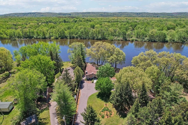 W11027B County Road O, Portage, WI 53901 - drone / aerial view of a forest and a large body of water