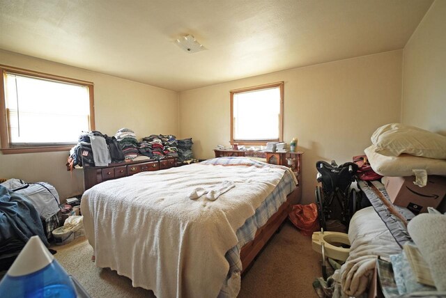 bedroom featuring multiple windows