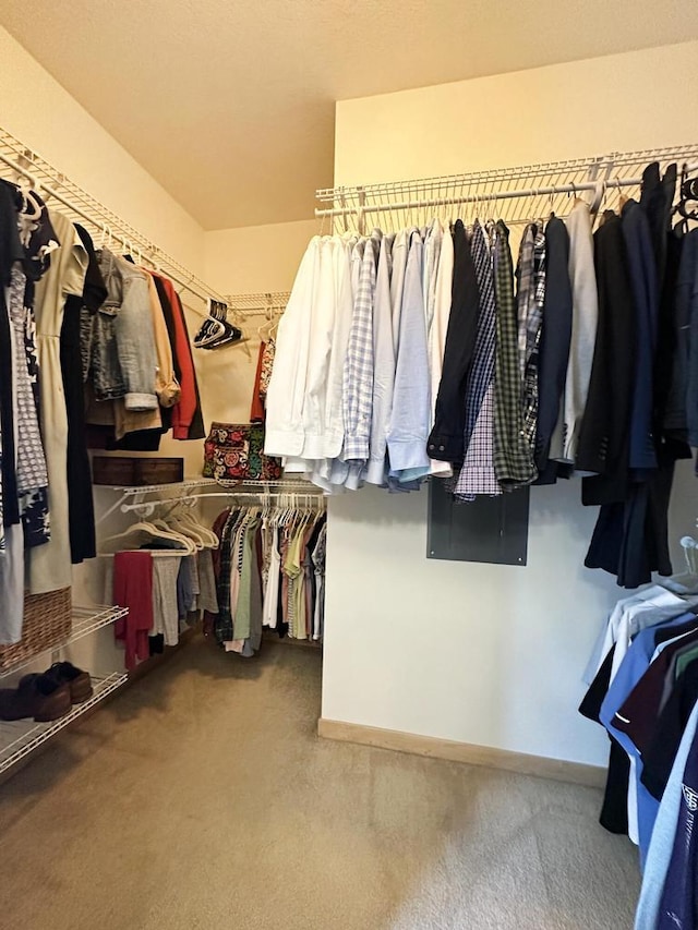 spacious closet featuring carpet floors