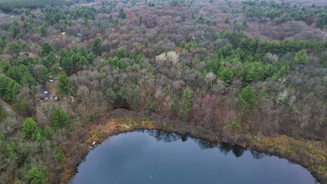 W7126 N Oakwood Cir, Neshkoro, WI 54960 - birds eye view of property featuring a wooded view and a water view