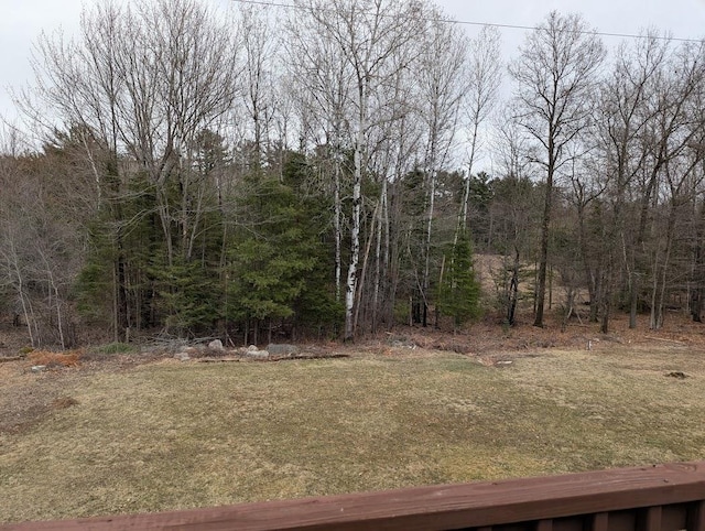 view of yard with a forest view