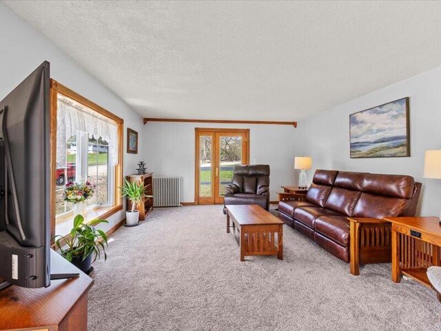 carpeted living area with radiator heating unit and a textured ceiling