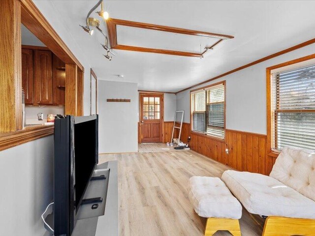 living area featuring wood walls, wainscoting, and light wood finished floors