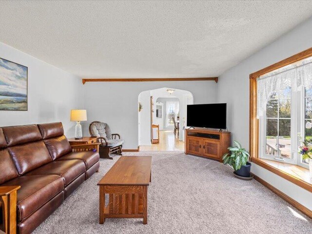living area with carpet flooring, arched walkways, a textured ceiling, and baseboards