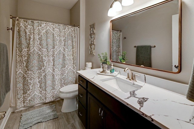 full bathroom featuring toilet, curtained shower, and vanity