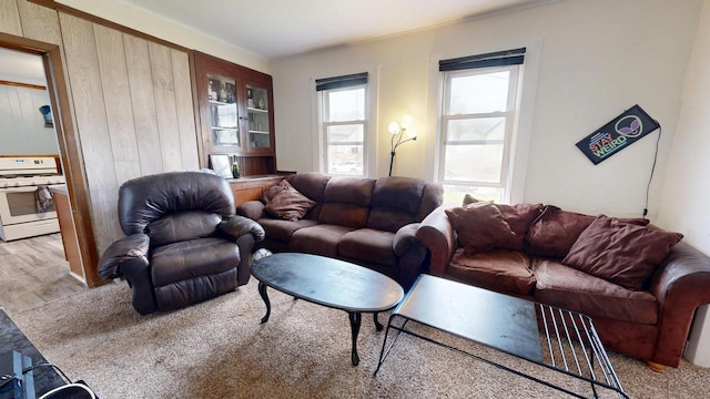 living area with wood walls and wood finished floors