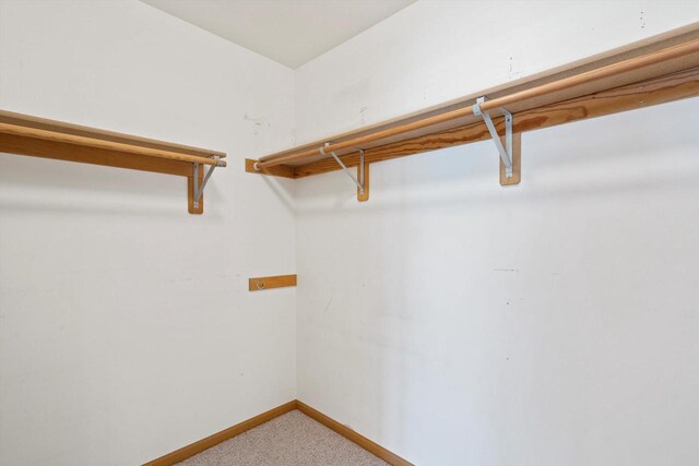 walk in closet featuring light colored carpet