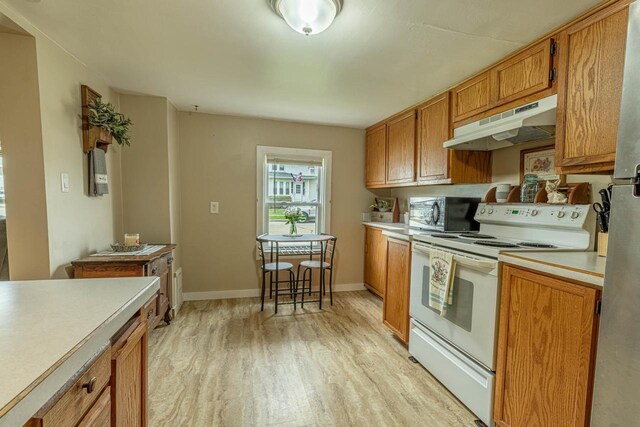 304 Mitchell St, Belleville, WI 53508 - kitchen featuring light wood-type flooring, light countertops, stainless steel microwave, under cabinet range hood, and electric stove