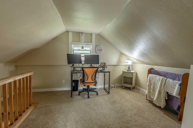 304 Mitchell St, Belleville, WI 53508 - office with a textured ceiling, lofted ceiling, baseboards, and carpet