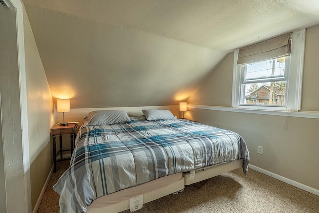 304 Mitchell St, Belleville, WI 53508 - bedroom with carpet flooring, a textured ceiling, baseboards, and lofted ceiling